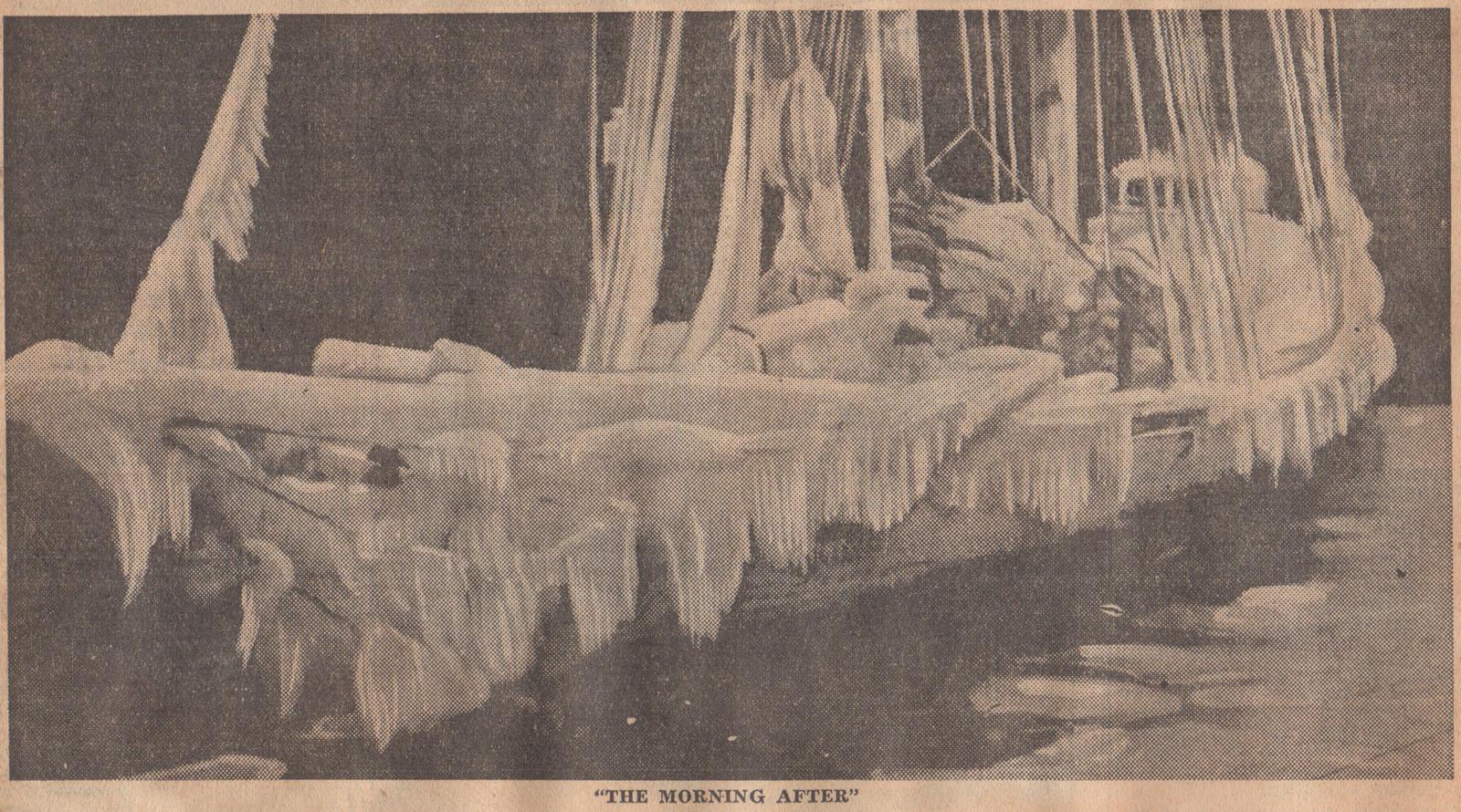Garibaldi schooner frozen in the ice