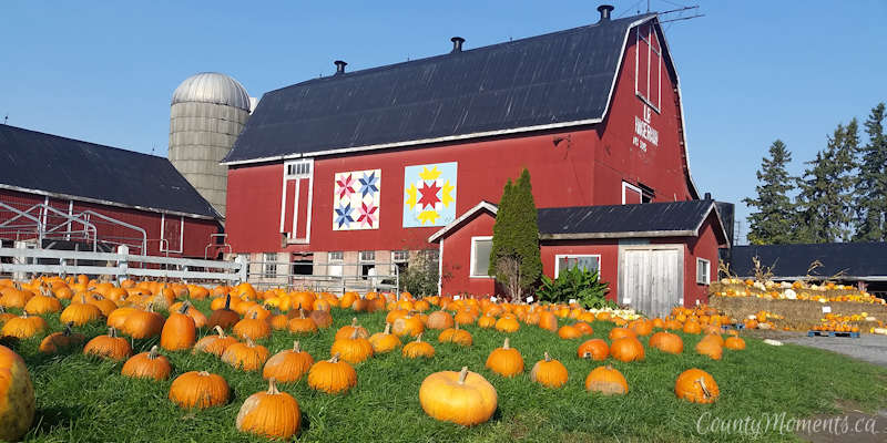 Hagerman's barn pumpkin display, Prince Edward County