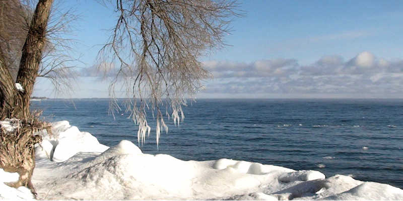 Ice buildup along Cressy lakesideshore