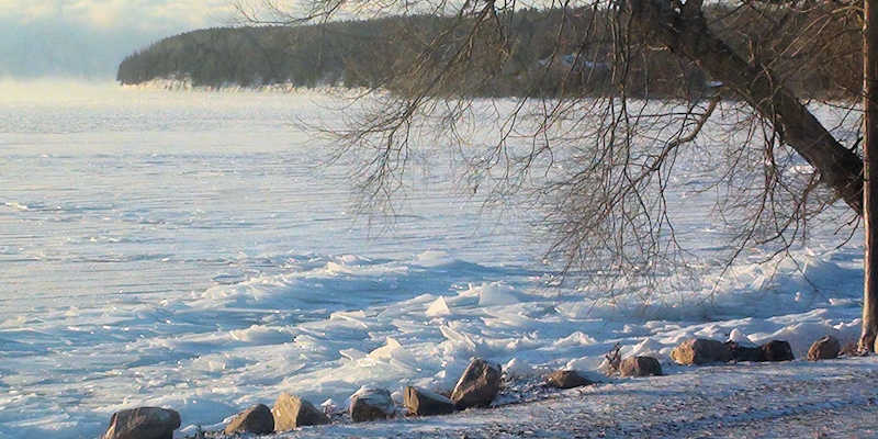 Ice shards at Cressy lakeshore