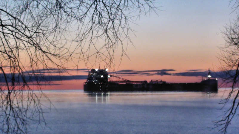 A lake freighter moored at Cressy Lakeside