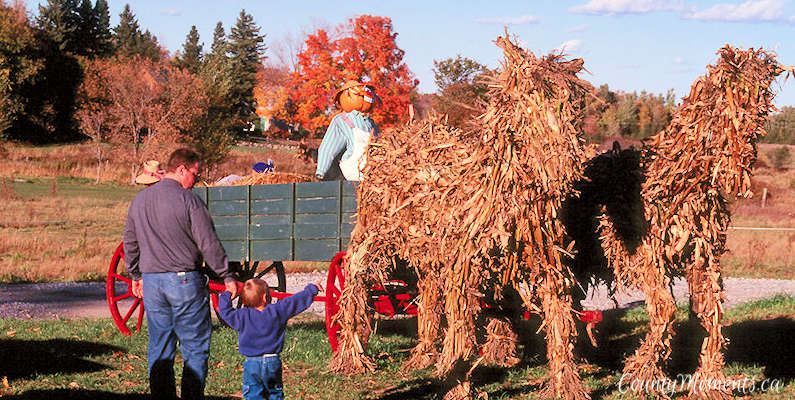 Straw horses at Campbells Orchards, Prince Edward County